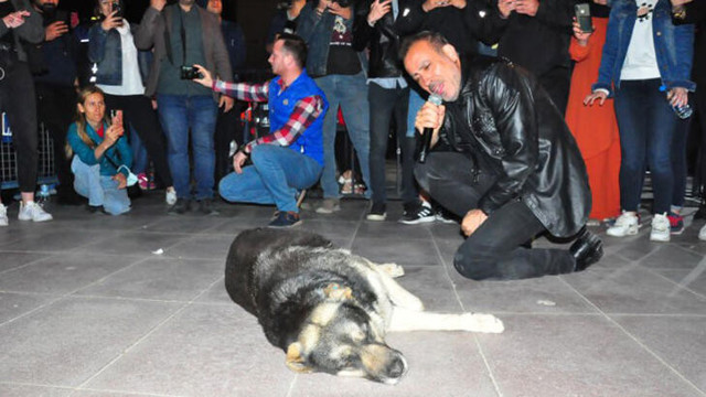Haluk Levent, sokak köpeğiyle yere uzanarak şarkı söyledi - Resim : 2