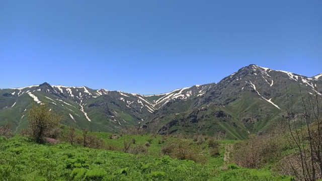 Sınır bölgesinde yaşayanlar köylerine GBT kontrolüyle girebiliyorlar - Resim : 2