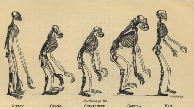 210. doğum gününde Darwin: Cehennemde gibiydim - Resim : 7