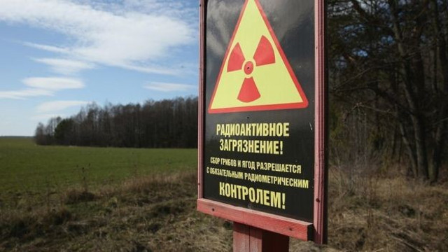Mars'ta bile canlı kalabilen dünyanın en dayanıklı bitkileri - Resim : 6