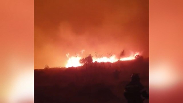 Dünyada orman yangınları: Kaliforniya'da acil durum, Yunanistan'da 24 saatte 53 yangın - Resim : 4