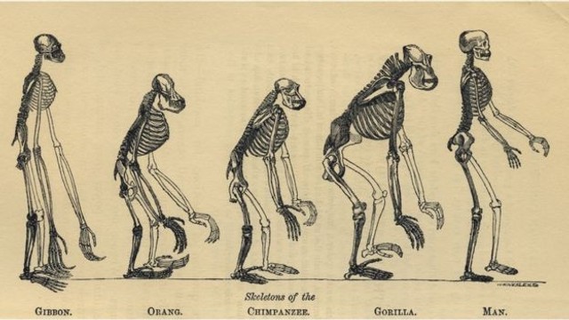 210. doğum gününde Darwin: Cehennemde gibiydim - Resim : 7