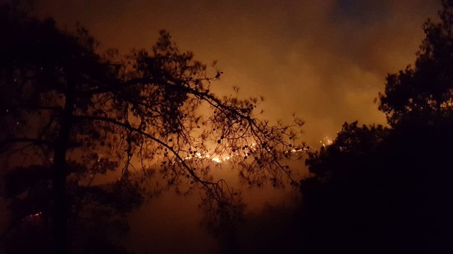 Muğla'daki yangın 18 saat sonra kısmen kontrol altında - Resim : 1