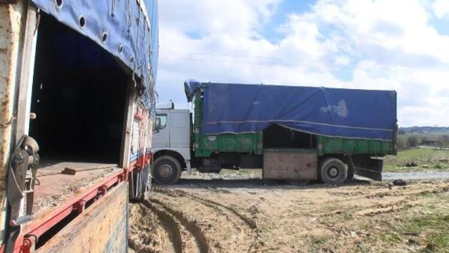 Afgan göçmenler 'Burası Yunanistan' denilerek Büyükçekmece'ye bırakıldı - Resim : 1