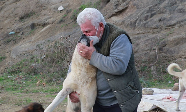 Kendisini hayvanlara adayan emekli öğretmen tedavileri için veterinerlik okudu - Resim : 1