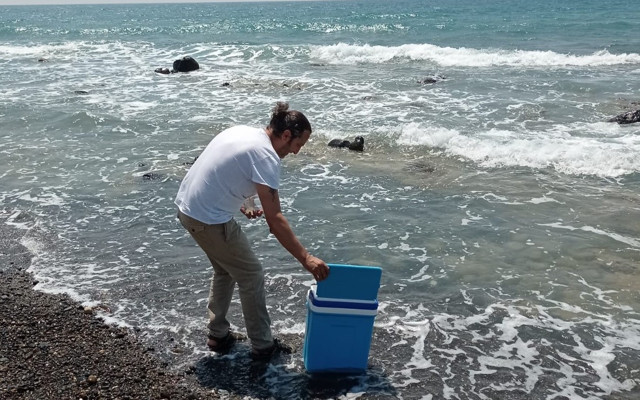 Doğu Akdeniz'de köpüklenme nedeniyle müsilaj endişesi: Vatandaşlar ihbar etti - Resim : 2