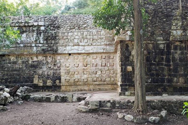 Meksika'da büyük bir Maya sarayı bulundu - Resim : 1