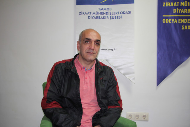 Kayyım dikmişti: Diyarbakır'daki palmiyelerin yüzde 99’u kurudu - Resim : 2