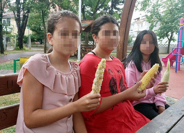 Villanın bahçesinden 3 tane mısır alan 3 kız çocuğu darp edildi - Resim : 4