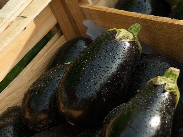 eggplant-1707629-640.jpg