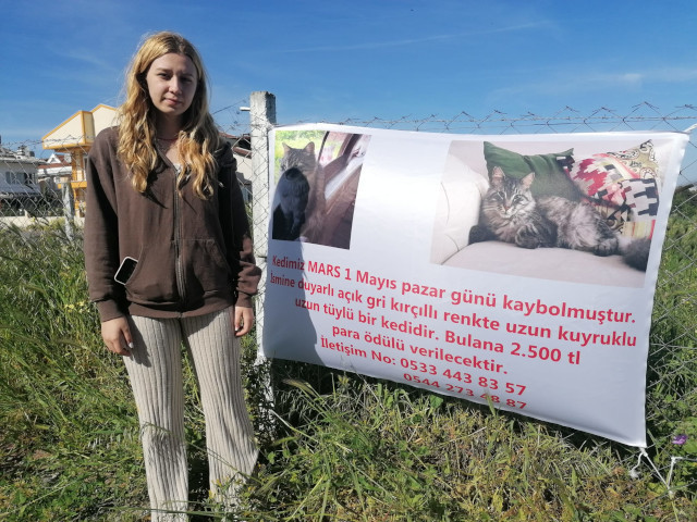 Kayıp kedi 'Mars'ı bulana 10 bin lira ödül - Resim : 2