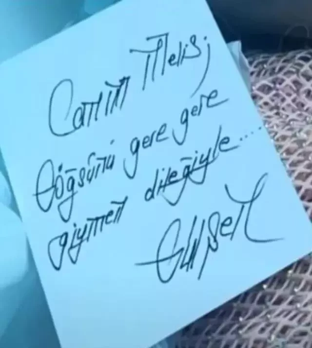 Gülşen'den MHP'li Çakar'a 'sütyen' göndermesi: Göğsünü gere gere giymen dileğiyle - Resim : 1