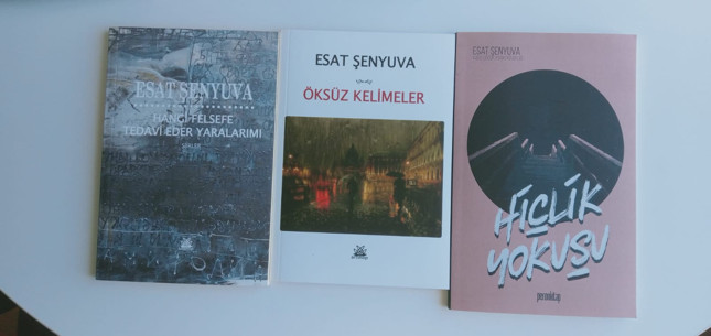 Elinde üç mürekkep, üç balık, üç dize - Resim : 1