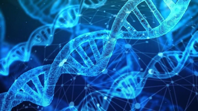 Yaşlanmayı tersine çevirebilecek 'anahtar gen' bulundu - Resim : 1