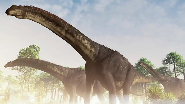 98 milyon yıllık dinozor fosili bulundu: Yeryüzündeki en büyük hayvan olabilir - Resim : 1