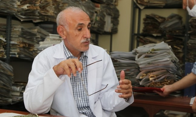Türkiye'de 150 yıldır rastlanmayan bitki türü Bingöl'de bulundu - Resim : 2