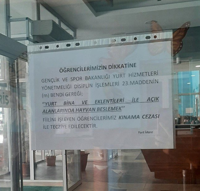 Sokak köpeklerini besleyen yurt öğrencilerine kınama cezası - Resim : 1