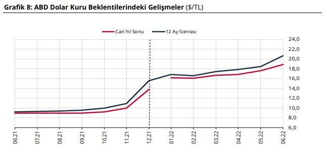 Merkez Bankası, dolar ve enflasyon beklentisini yükseltti - Resim : 2