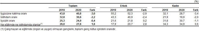 Türkiye İstatistik Kurumu, Ekim 2020 işsizlik verilerini açıkladı - Resim : 3
