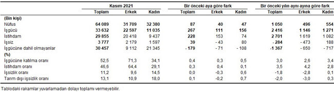 TÜİK verilerine göre işsizlik kasım ayında değişmedi - Resim : 2