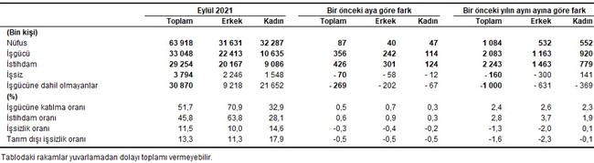 TÜİK'e göre eylülde manşet işsizlik düştü, geniş tanımlı işsizlik arttı - Resim : 2