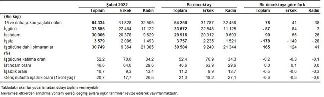 TÜİK'e göre, şubatta işsiz sayısı azaldı, işsizlik yüzde 10,7'ye geriledi - Resim : 2