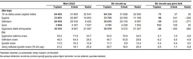 Türkiye İstatistik Kurumu'na göre mart ayında işsizlik yüzde 11,5 oldu - Resim : 2