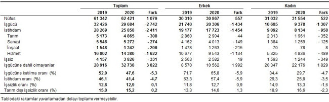 TÜİK'e göre işsizlik mayıs ayında yüzde 12,9 oldu, işgücüne katılım geriledi - Resim : 2