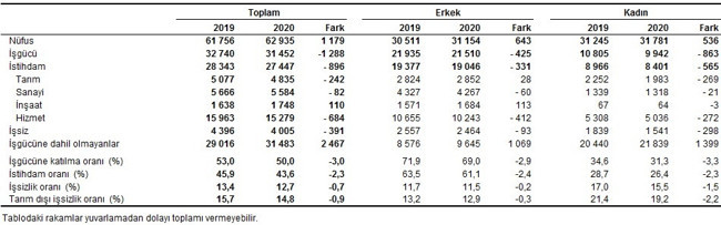 Türkiye İstatistik Kurumu, Ekim 2020 işsizlik verilerini açıkladı - Resim : 2