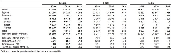 TÜİK, 'dar tanımlı işsizliği' öne çıkardı, işsizlik oranını yüzde 12,7 olarak açıkladı - Resim : 2