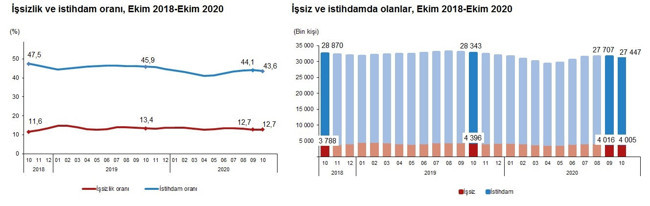 Türkiye İstatistik Kurumu, Ekim 2020 işsizlik verilerini açıkladı - Resim : 1