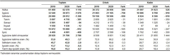 Türkiye İstatistik Kurumu'na göre pandemi yılı 2020'de işsizlik düştü - Resim : 2