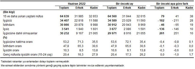 TÜİK'e göre işsizlik haziran ayında azaldı - Resim : 2