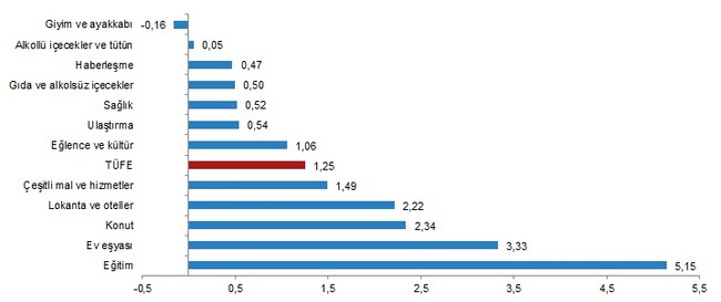 TÜİK'e göre enflasyon eylül ayında yüzde 19,58'e yükseldi - Resim : 3