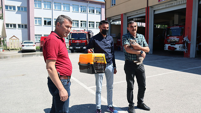 Bolu’da satılan aracın motoruna giren yavru kedi, Düzce’ye geldi - Resim : 1