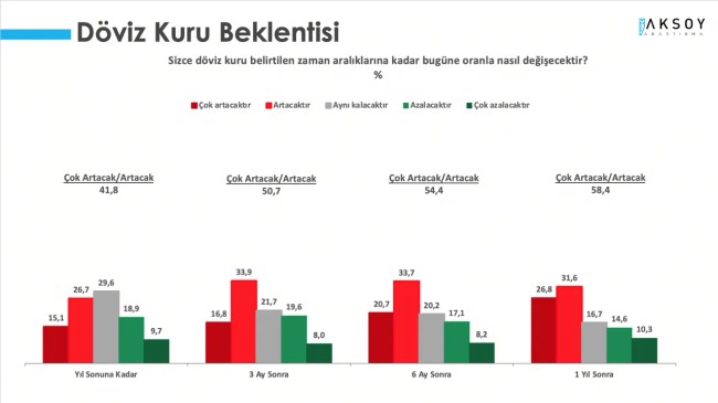 Kur korumalı mevduat sistemine güven yok: 100 bin liram olsa dolar alırım - Resim : 3