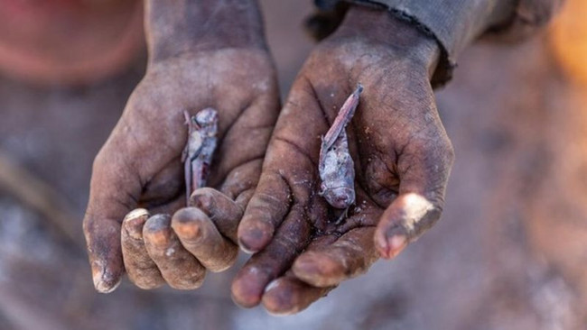 Madagaskar iklim değişikliği kaynaklı kıtlık görülen ilk ülke olmak üzere - Resim : 1