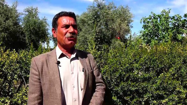 Sêvê Şengalî: Êzidiler topraklarına dönerek bayramlarını hep beraber kutlasın - Resim : 4