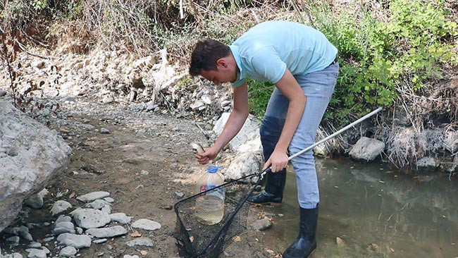 'Ölmesinler' diye pet şişelerle çaydan çaya balık taşıdı - Resim : 1