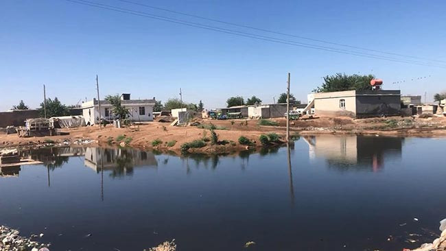 Suruç’ta tarlalara su verildi evler su altında kaldı - Resim : 1