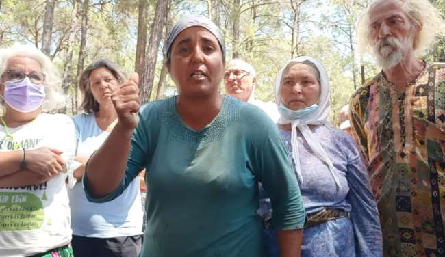 Akbelen Ormanı davasında bilirkişi keşfi öncesi yönetmelik değişti - Resim : 1