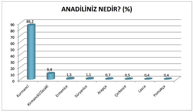 Devlet kurumlarında çalışanların yarıdan fazlası anadilinde konuşmaya çekiniyor - Resim : 1