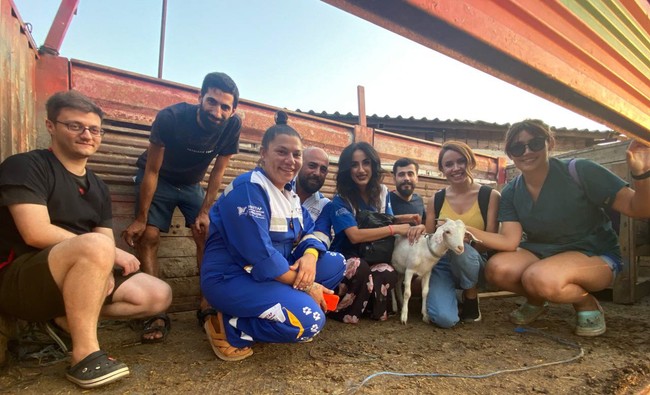 Orman yangınında yaralanan hayvanlar için yeni yaşam - Resim : 3