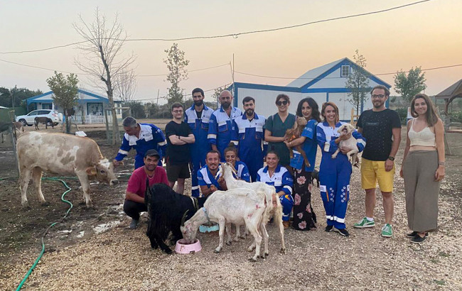 Orman yangınında yaralanan hayvanlar için yeni yaşam - Resim : 1