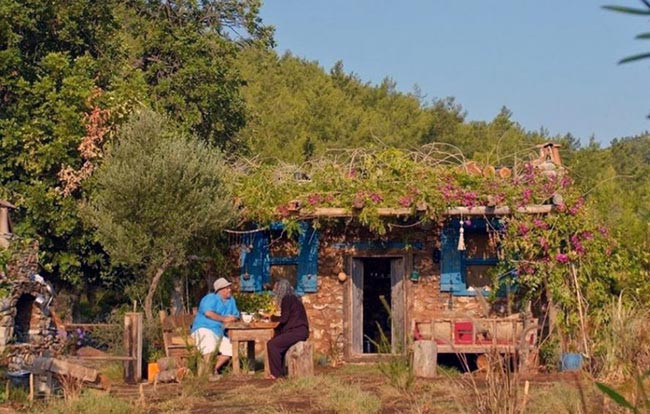Çökertme Koyu'ndaki 'Mandıra Filozofu'nun evi de yandı - Resim : 1