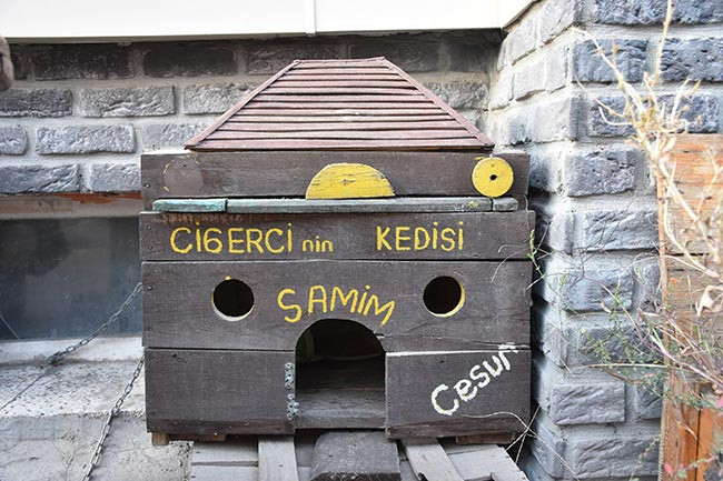 Ciğerci dükkanının müdavimi: Samim - Resim : 2