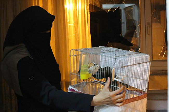 Taşlanan evler, evlerine saklanan sığınmacılar: Yarın çocuğuma kim süt alacak? - Resim : 8