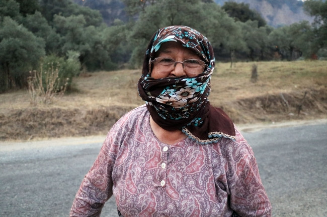 Aydın'daki yangında zeytin ağaçları yanan yurttaş: 50 senelik emeklerim gitti, yandım - Resim : 4
