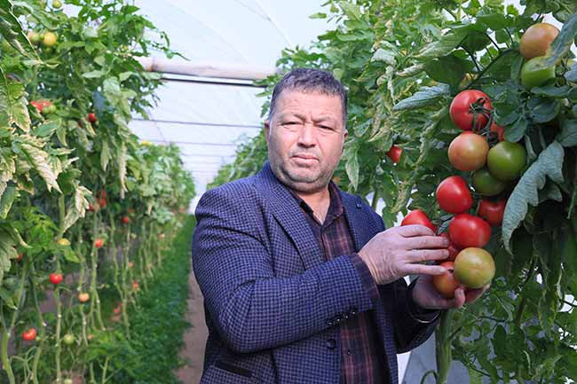 Domatesin fiyatı 10 kilometrede 5 kat arttı - Resim : 1