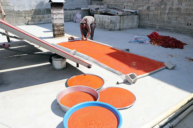 Antepli kadınların ‘salça’ mesaisi - Resim : 2